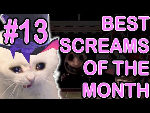 BEST SCREAMS OF THE MONTH | part 13 | May 2024 #gavisbettel #holotempus