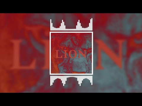 PNL - Lion