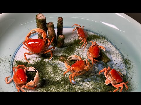 【TikTokで130万再生】サワガニを色鮮やかに揚げる方法教えます！Fry the Sawa crab vividly