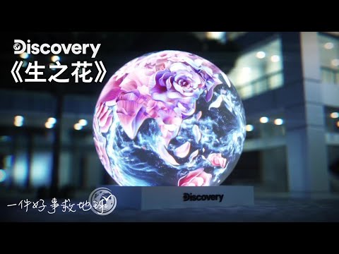 乘載美麗花朵的地球，象徵生命的綻放，生生不息 | 2024世界地球日《Discovery 地球 ‧ 生之花》展覽