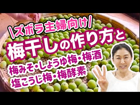 誰でも出来る！簡単梅干しの作り方と梅みそ・醤油梅・塩麹梅・梅酒・梅酵素の作り方 EMのエンバランス で発酵促進