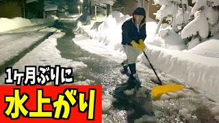 2024-01-26【緊急】早朝除雪終わってメシ食っていたら水上がりして慌てて外に出た！ハンドラッセルで処理 Snow removal ASMR