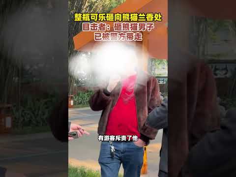 男子拿可乐砸向熊猫兰香，目击者：男子已被警方带走