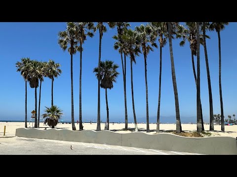 Lunch at Waterfront, a vibrant and trendy eatery that captures the essence of LA’s beach culture