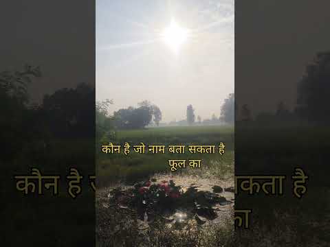 प्रकृति की सुंदरता हर जगह है #agriculture #natural #sundarta #trending #farming #tej kisan