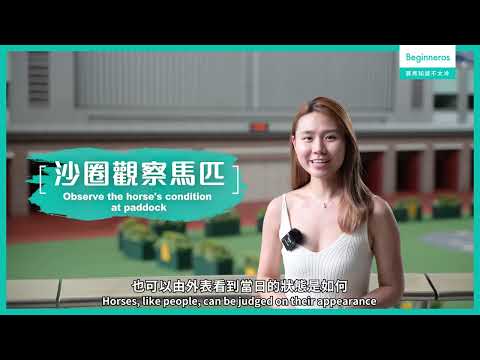 【#賽馬知識不太冷｜在沙圈如何觀察馬匹？】