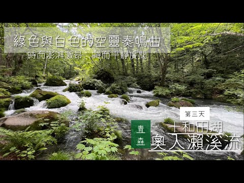 [出海]日本東北繞個圈/第三天/青森縣奧入瀨溪流✨我的最最愛🏆 是秘境、是淨土、是不惹塵埃的桃花源🍃