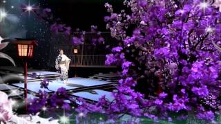 夜桜お七:　坂本冬美