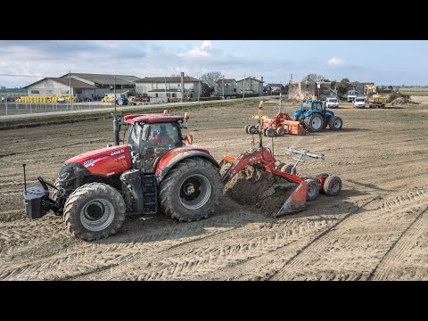 Case IH Optum 300 CVX + New Holland TVT195 | Leveling | F.lli Roman