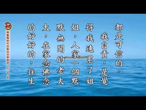 15/11/2014 - ⑪刘素云老师学习报告： 无量寿经科注第四回学习班 (有字幕)