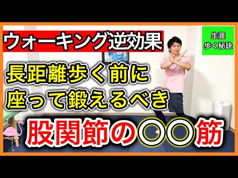 【散歩が逆効果】ウォーキングが逆効果になる人が必ず弱くなっている股関節の〇〇筋を座って鍛える3つの運動