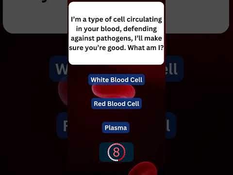 Fun Fact About Blood You Never Knew! 🩸 #HumanBodyFacts 3