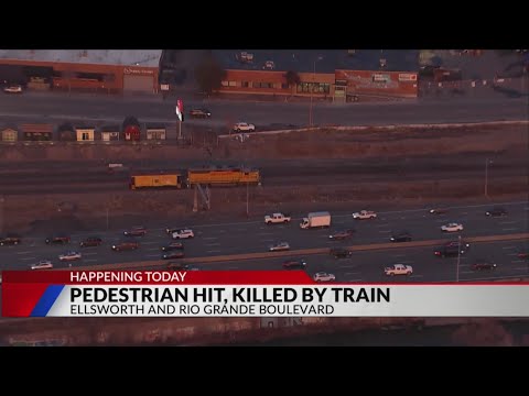 Pedestrian hit by train, pronounced dead in hospital