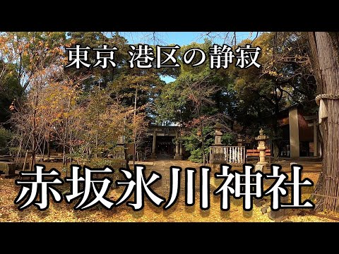 【東京散策】赤坂と六本木の間に現れる静寂。秋の赤坂氷川神社を歩く。Silence in Tokyo. Akasaka Hikawa Shrine【Walking around Tokyo】