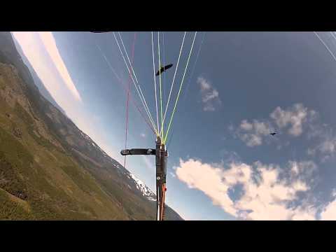 Paragliding with the Birds