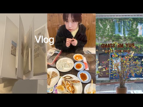 vlog,日常♨️代々木もっちり餃子🥟中華街🇨🇳 일상.만두.요코하마 주카가이🫶