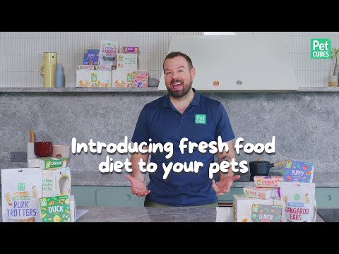 Talking To Your Vet About Fresh Diets | Introducing fresh food to your pet