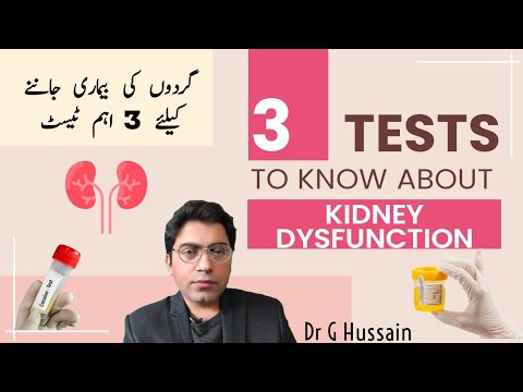 3 Tests to Know about Kidney Dysfunction |#kidneydisease #creatinine ##renalfailure