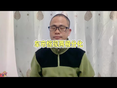 双11理想汽车门店爆满，试驾都排不上，为何这么多人喜欢理想汽车