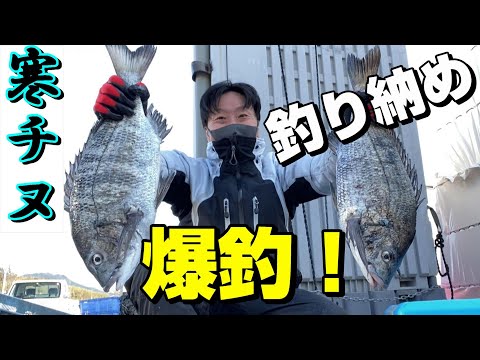 禁断のエサでチヌが釣れすぎる！これはヤバい…【58釣目】【筏釣り】【福岡釣り】