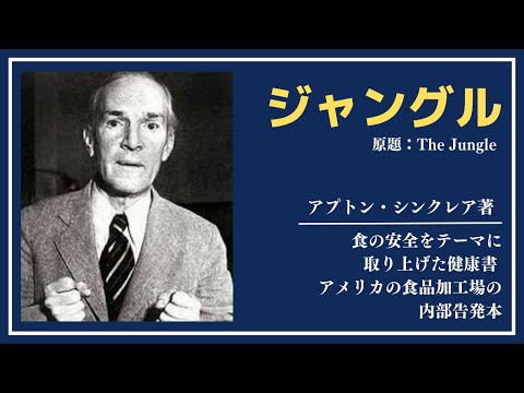 【洋書ベストセラー】著アプトン・シンクレア【】