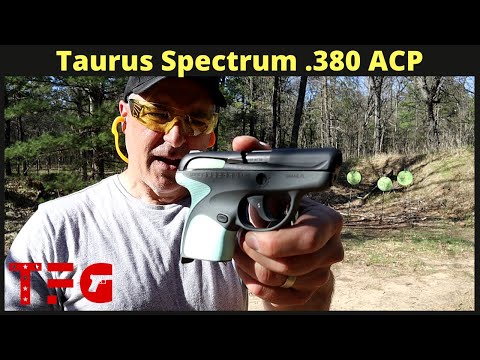 Taurus Spectrum .380 ACP Handgun - TheFirearmGuy