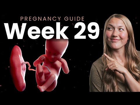 29 Weeks Pregnant | Week By Week Pregnancy