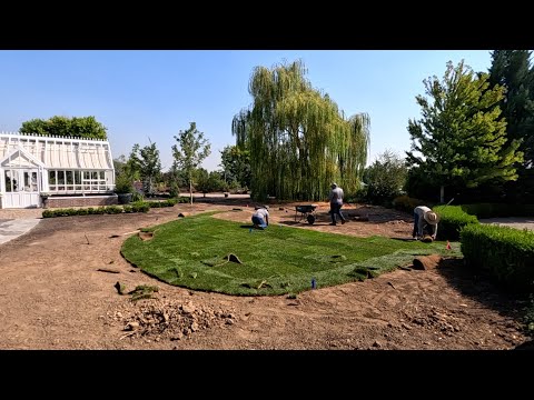 Sod & Paver Pathway Installation in Front of the Hartley! 💚🙌💚 // Garden Answer