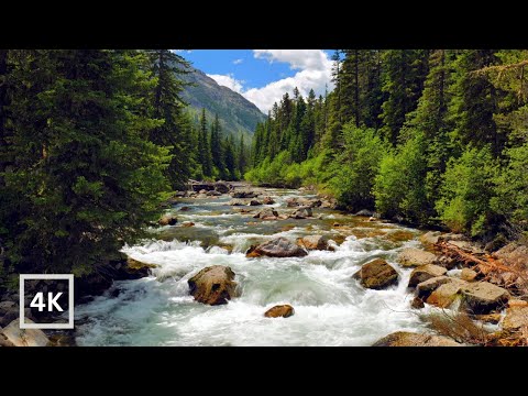 4K Boulder River Rapids in Evergreen Forest | Relaxing Nature Ambience | Water Sounds White Noise