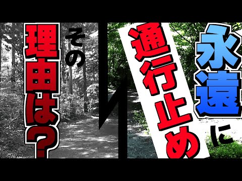 衝撃的な多摩奥地の「禁止区域」に足を踏み入れてみた