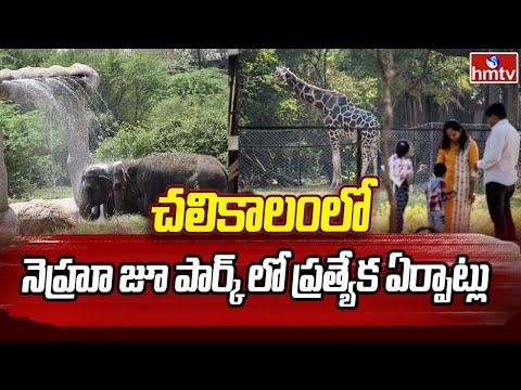 Pakkahyderabadi | చలికాలంలో నెహ్రూ జూ పార్క్ లో ప్రత్యేక ఏర్పాట్లు | hmtv