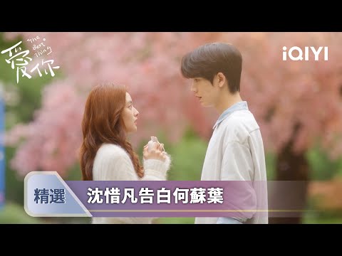 《愛你》EP17-18精選：稀飯終於向蘇葉表白心意，兩人就這樣在櫻花樹下擁吻~ | 愛奇藝