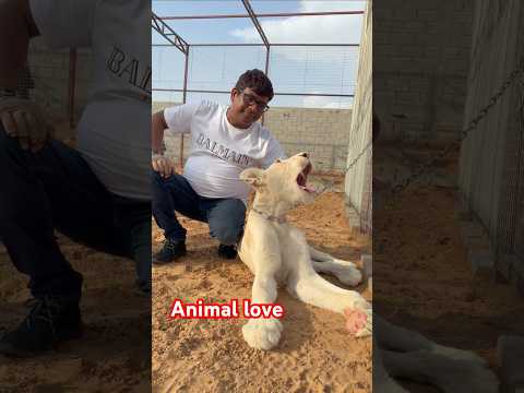 Dr.Rajneesh Kant loving the white lion.