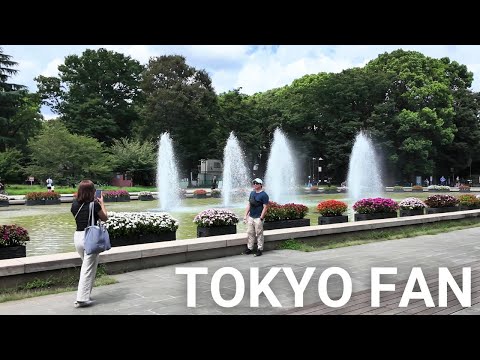 アメ横・上野公園散歩 |【4K】 Walking Ameyoko and Ueno Park Tokyo Japan (August 2024)