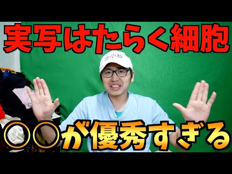 全細胞が泣いた実写『はたらく細胞』ネタバレなし感想【おすすめ作品】