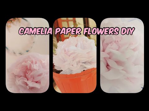 How to make paper flower💕🌼💕. Tishu or oil paper diy💟.Camelia paper flower craft Piumini sathsarani