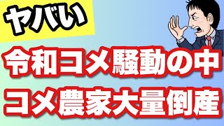 「令和のコメ騒動」でもコメ農家倒産過去最多に。現状と今後は不安ですね。