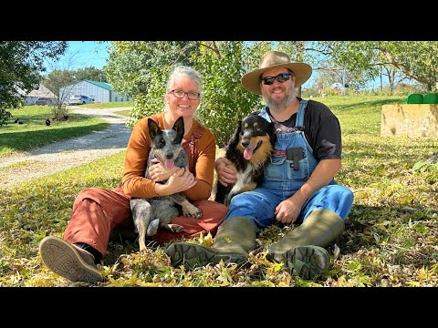 What Are We Even Doing? | Farm Update with Dan and Mel