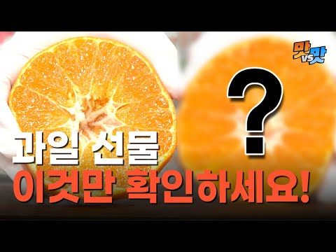 명절 과일 선물, 이것만 확인하세요! [맛대맛]