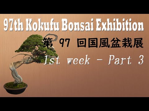 97th KOKUFU BONSAI EXHIBITION 2023 /02/9~12 1st week. 第97回国風盆栽展（前期）PART.3