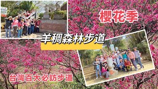 台灣百大必訪步道 桃園羊稠森林步道-2024/02/15