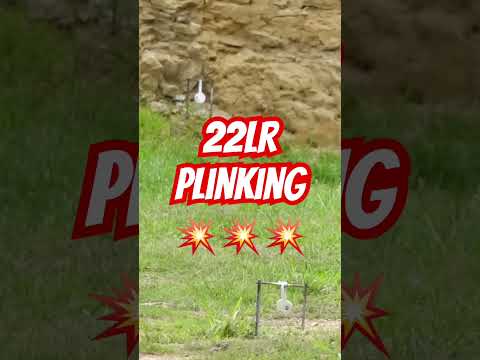 22lr plinking is so much fun! #ozziereviews #22longrifle #gun  #shooting #22lr #plinking #cz #ruger