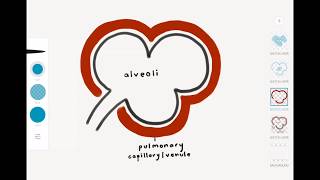 Pulmonary Edema