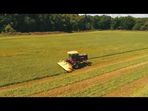 Alfalfa Hay Cutting at Gerald's Farm in Kentucky