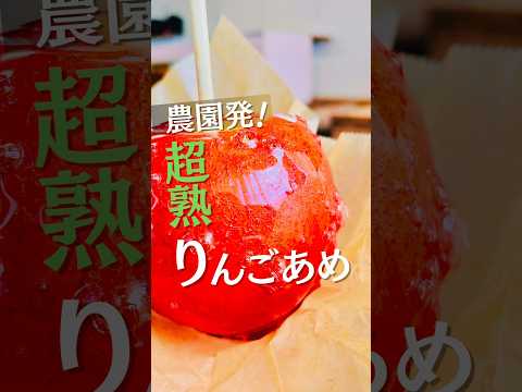 【盛岡市】かどしげ農園のりんごあめ #岩手グルメ #盛岡