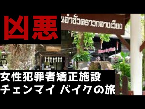 (#6)【5日目】チェンマイの中心で更生に失敗したベテラン受刑者の手業の虜になるアールR氏《5万円で世界を歩く タイ編 》