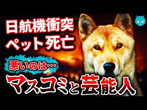 【日航機事故】騙されるな！ペットの機内置き去りが絶対に正しい理由【論争】