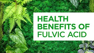 Fulvic Acid Explained: Why Our Bodies Need Natural Compounds