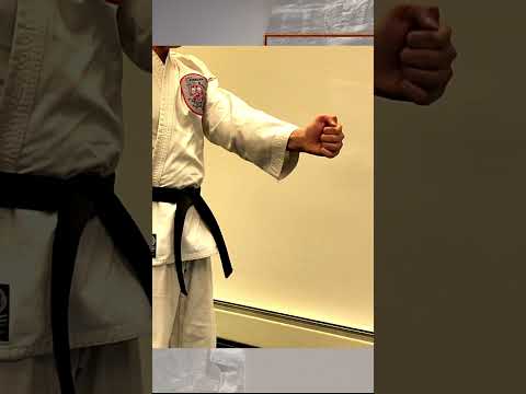 The Vertical Punch in Martial Arts #verticalpunch #martialarts