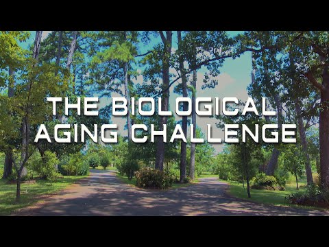 The Biological Aging Challenge - Preview